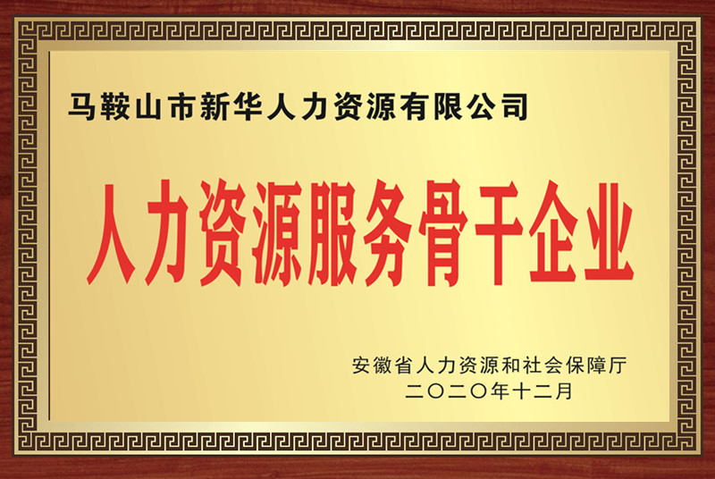 2020年安徽省人力資源服務(wù)骨干企業(yè)